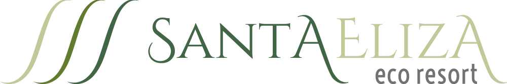 Santa Eliza